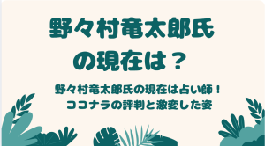 野々村竜太郎氏の現在は占い師